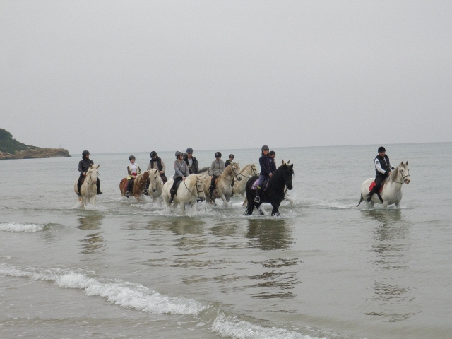  Pferdeausflug im Meer 